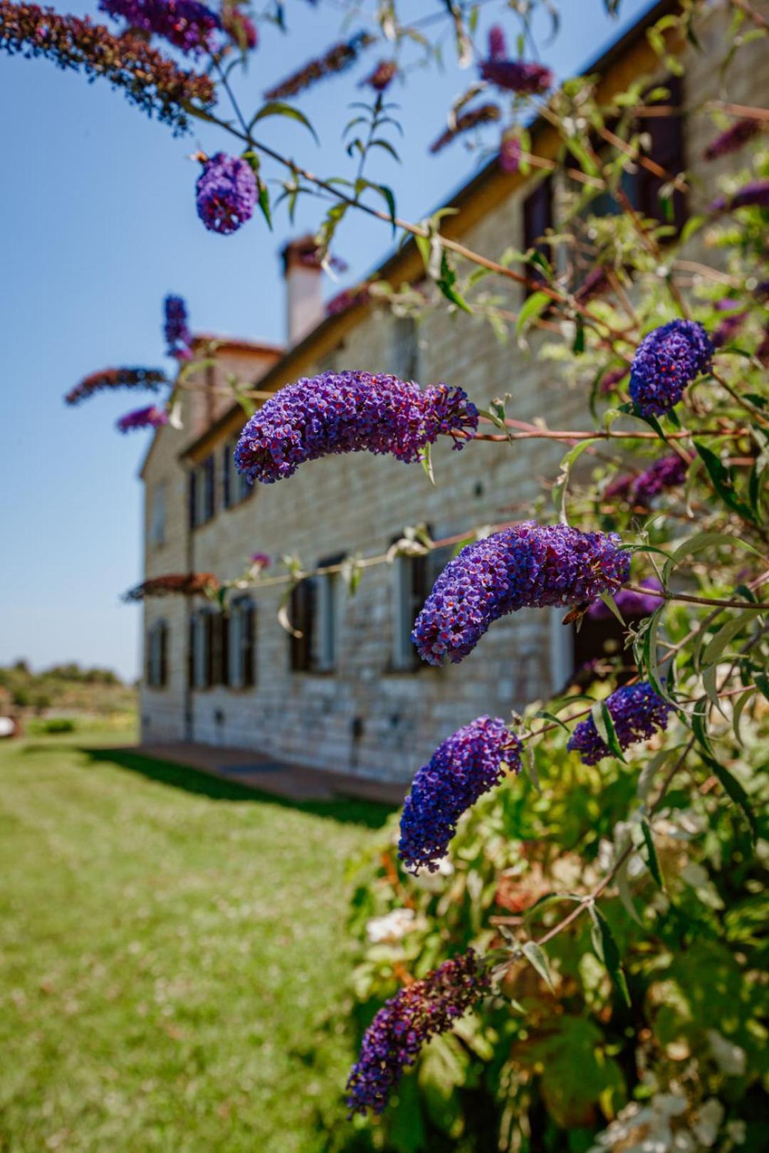 Alle Pendici Del Conero Sirolo Exterior photo